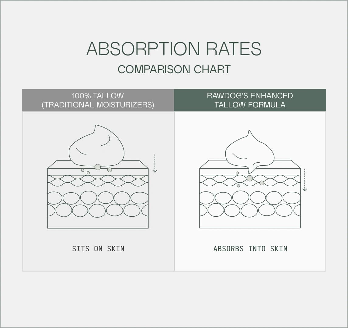 Absorption rates comparison chart - RAWDOG enhanced tallow formula vs traditional moisturizers