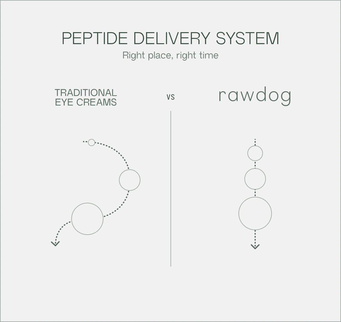 RAWDOG peptide delivery system diagram - comparison of traditional eye creams vs advanced peptide technology